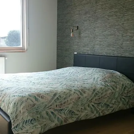 Les Lumieres D'epernay Épernay